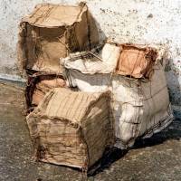 SONIA PRYSZCZ-BOTOR - Fragment