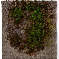 ELWIRA SZTETNER - Moss